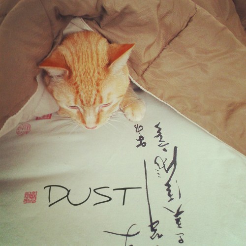 Dust