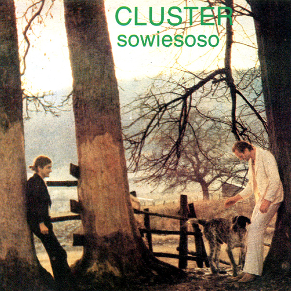 cluster-sowiesoso