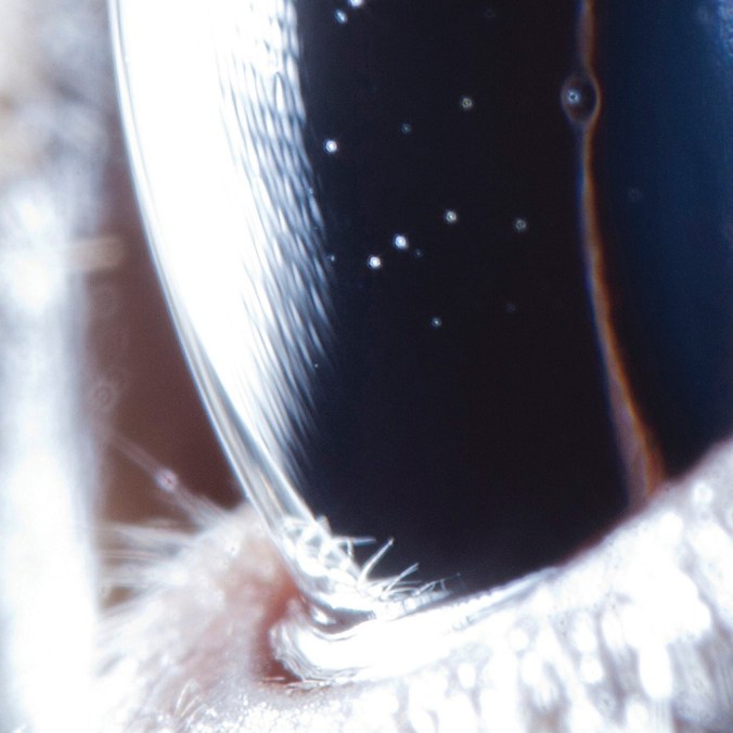 roly-porter-third-law